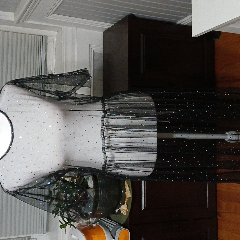 Forever 21 Black Mesh Fabric Maxi Dress